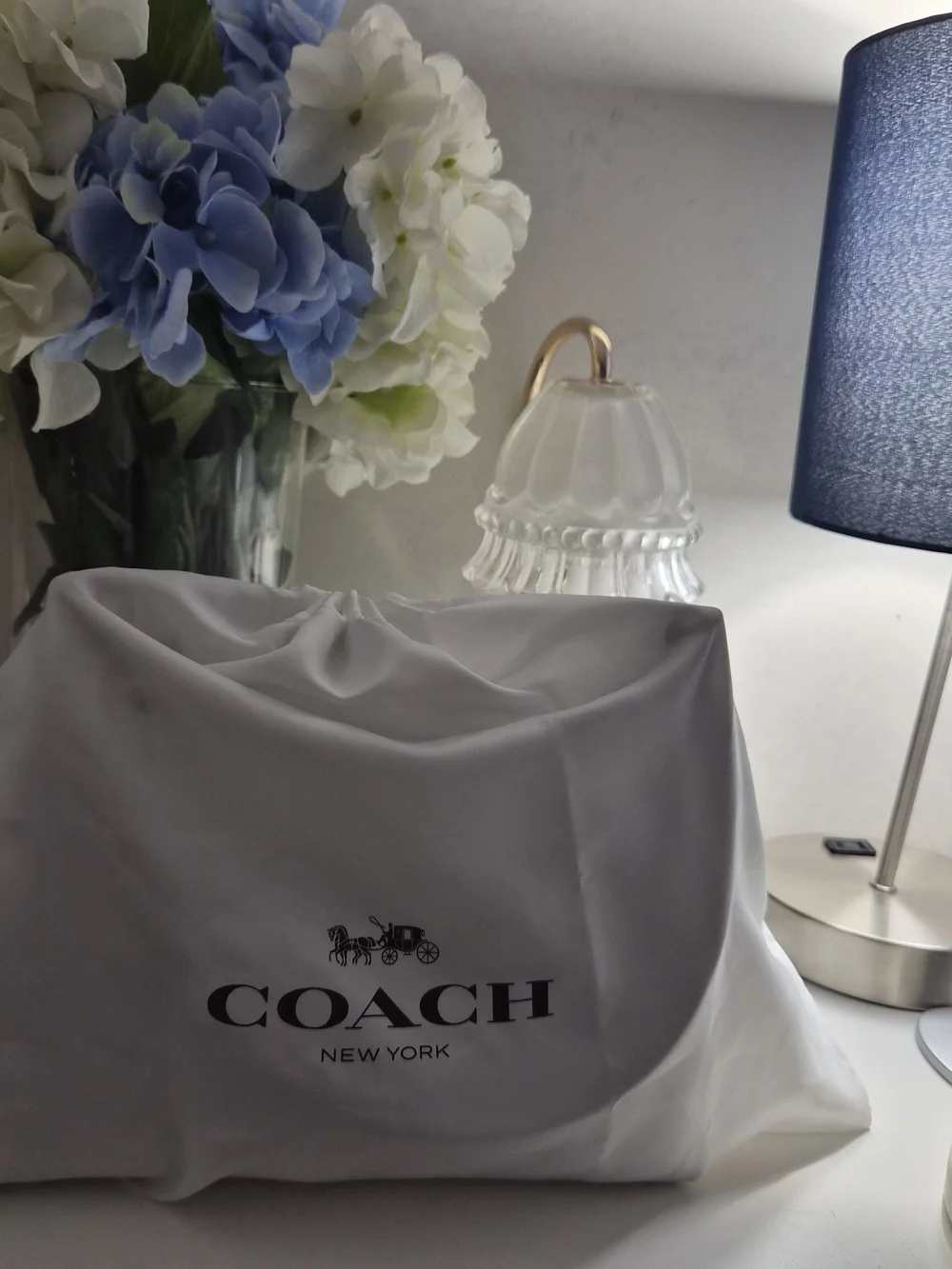 Coach Juliet Metallic Leather Shoulder Bag 25